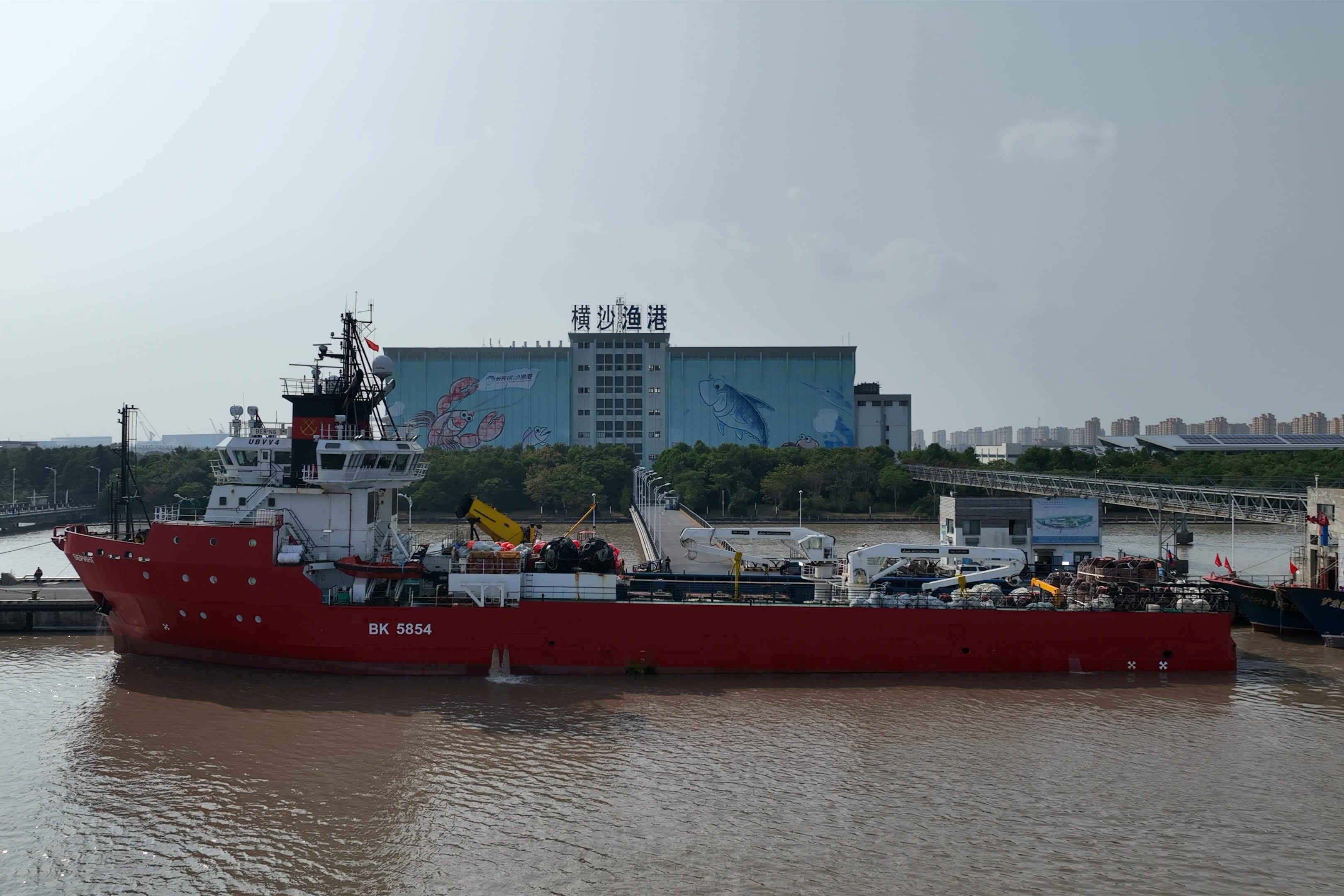 全国首艘运载超200吨帝王蟹的船舶入境，靠泊上海横沙渔港-第1张图片-太平洋在线下载