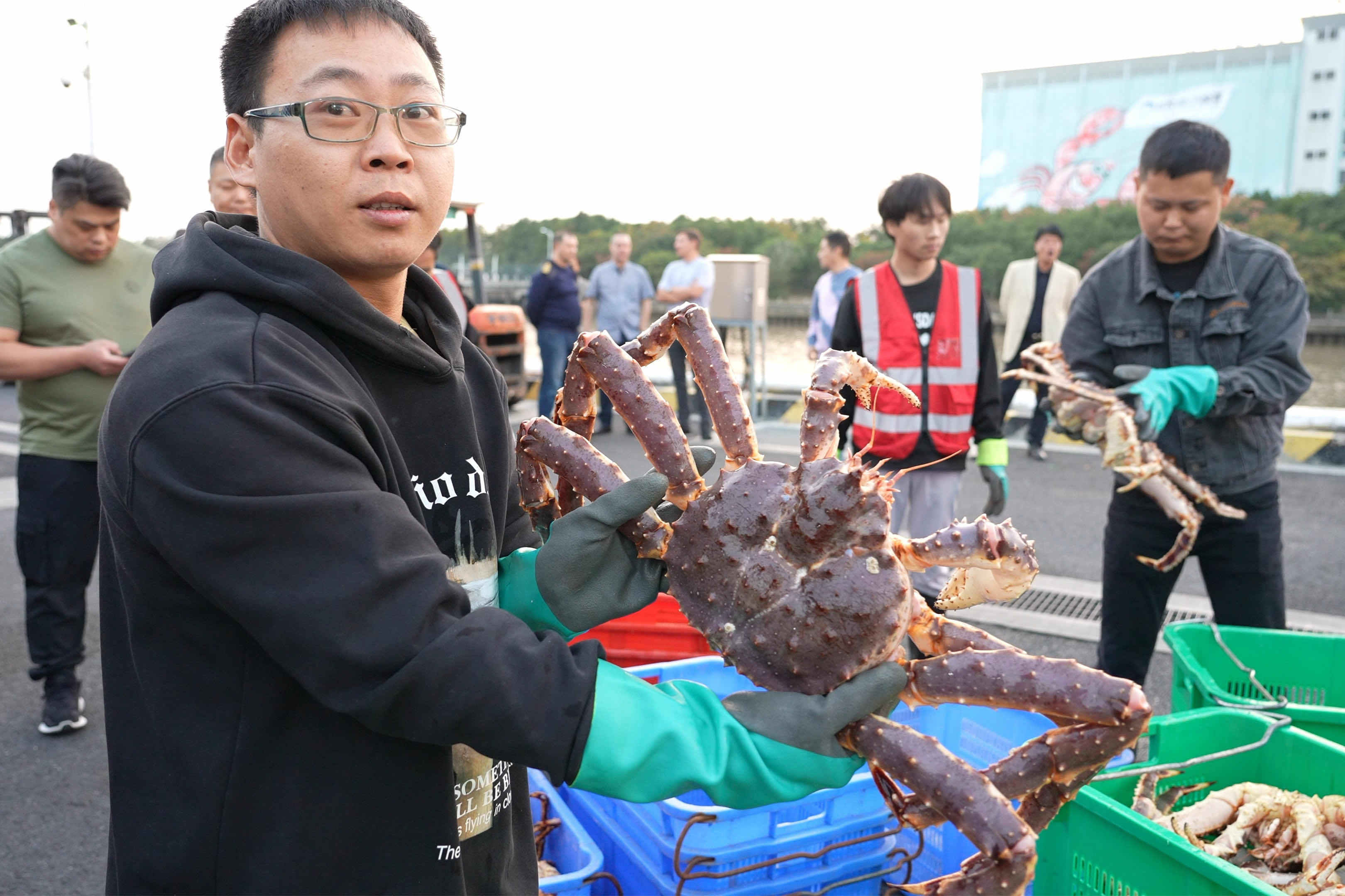 全国首艘运载超200吨帝王蟹的船舶入境，靠泊上海横沙渔港-第2张图片-太平洋在线下载