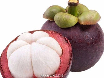 山竹客户端山竹远程控制-第2张图片-太平洋在线下载