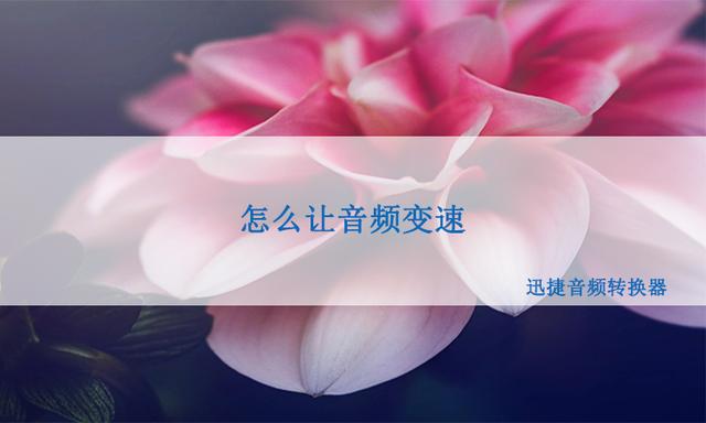 小熊录歌苹果版小熊录制屏幕下载-第2张图片-太平洋在线下载