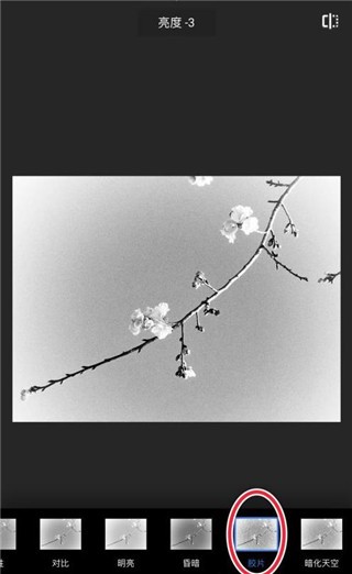 snapeee安卓版snapseed安卓下载
