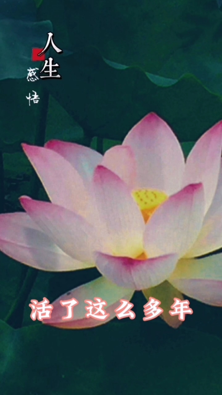 手机烧香苹果版苹果手机ios系统下载