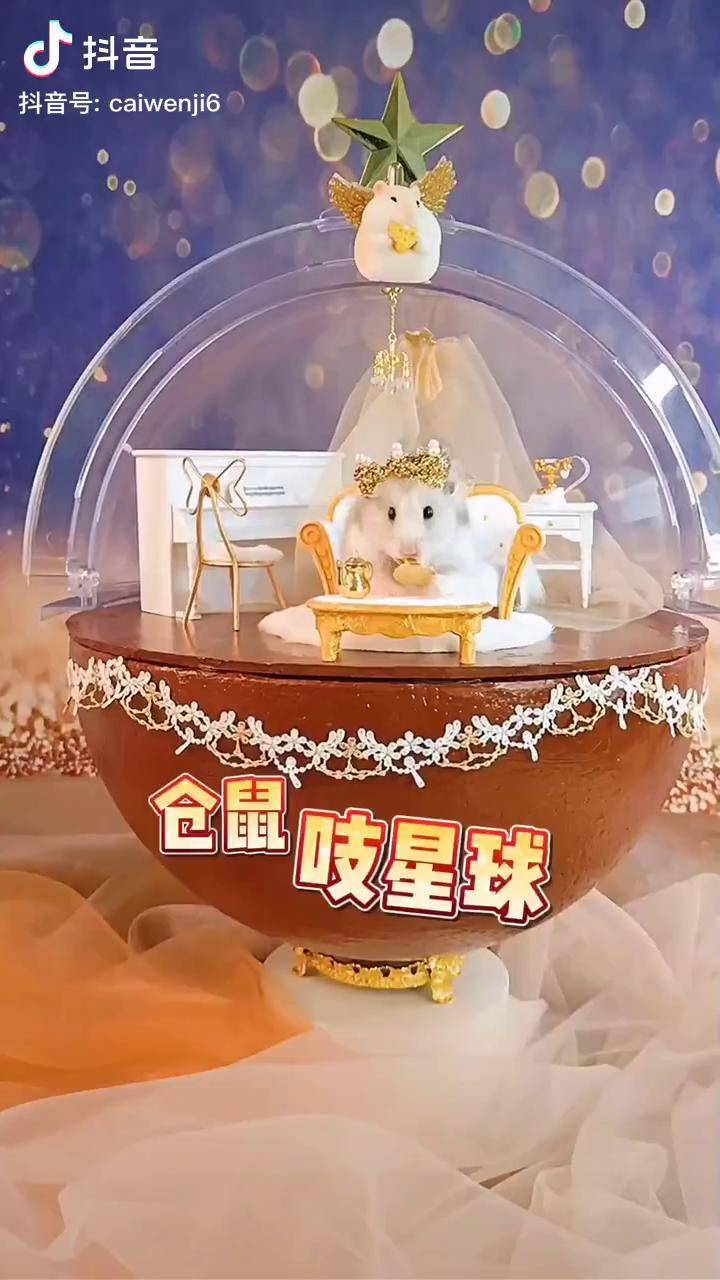 仓鼠星球安卓版蛋播星球安卓版看不起-第2张图片-太平洋在线下载