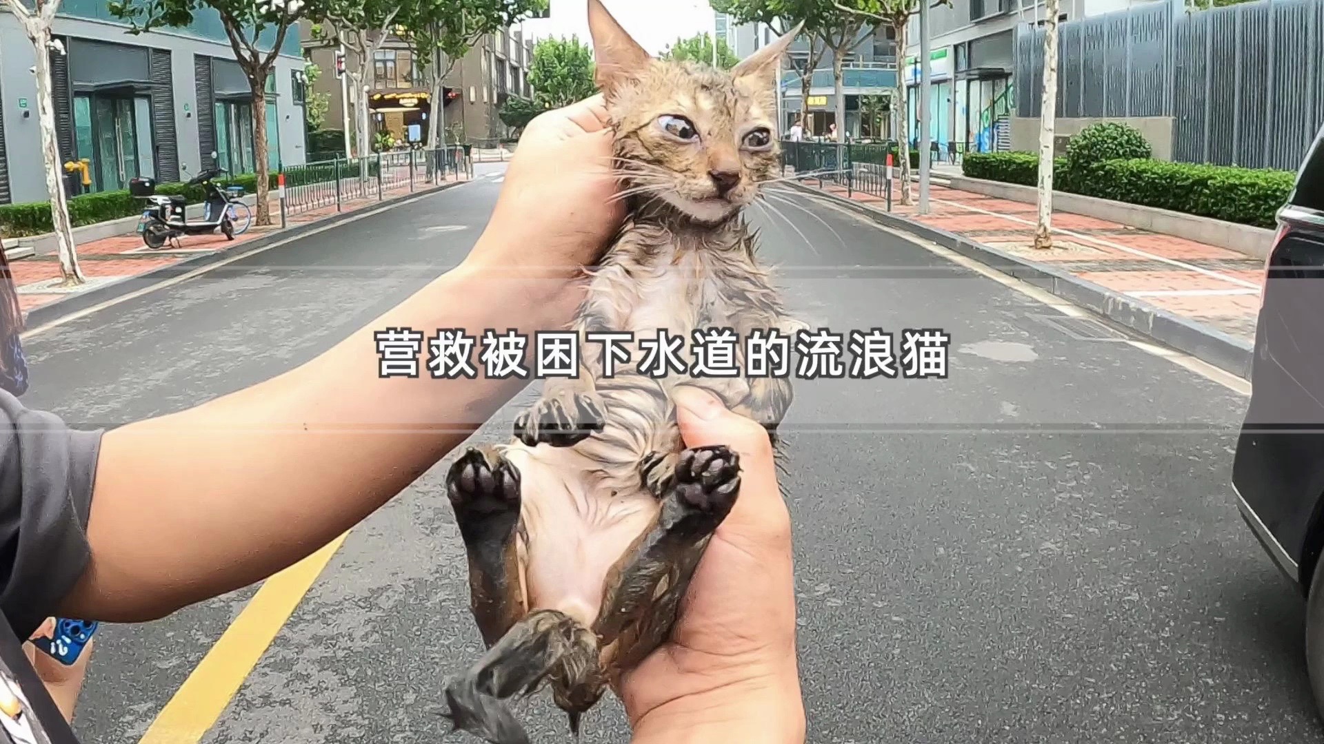 水管猫安卓版下载水管工传说下载安装