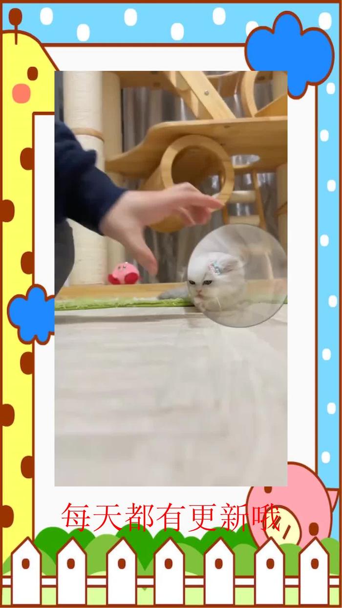 水管猫安卓版下载水管工传说下载安装-第2张图片-太平洋在线下载