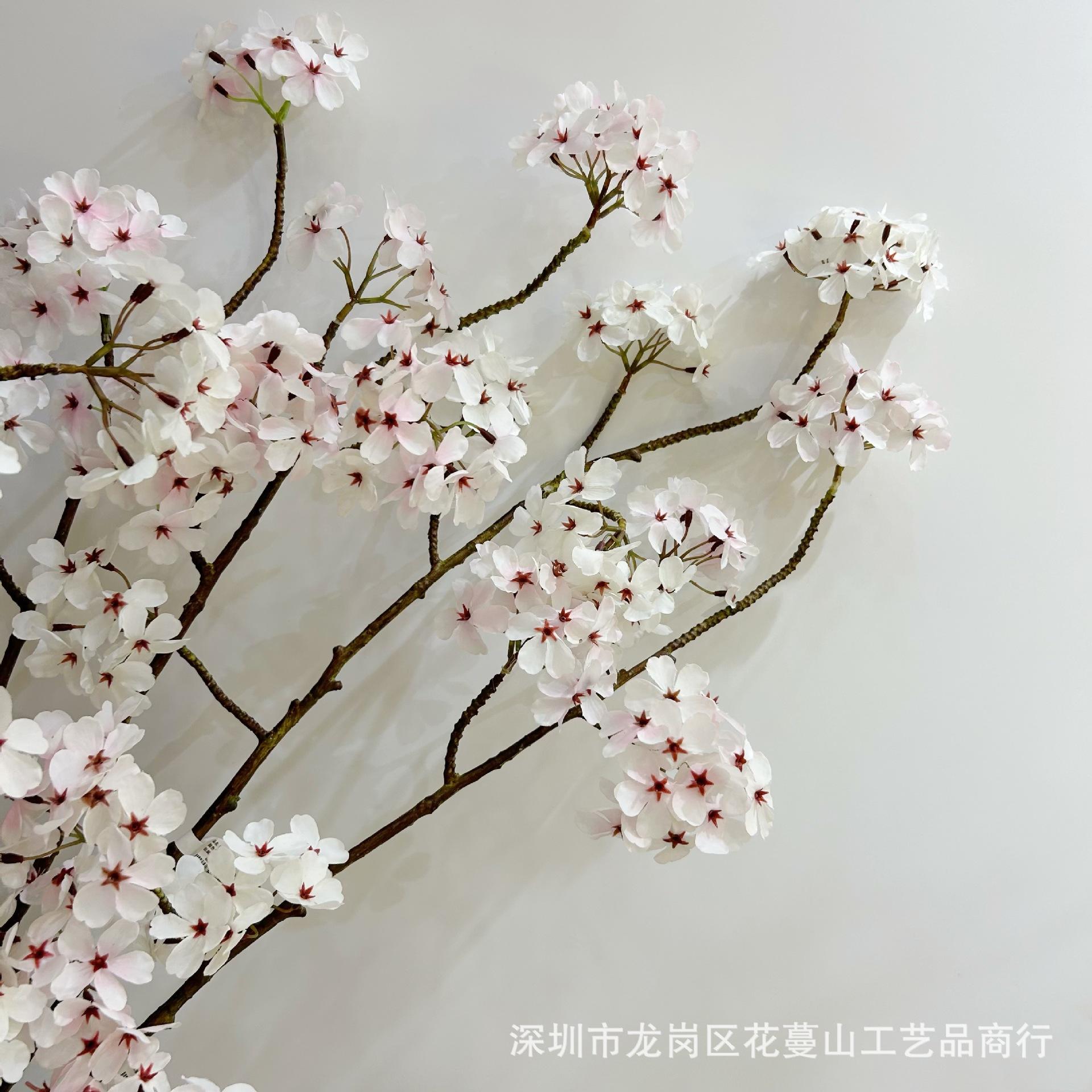 草信苹果版微信app苹果版下载-第2张图片-太平洋在线下载