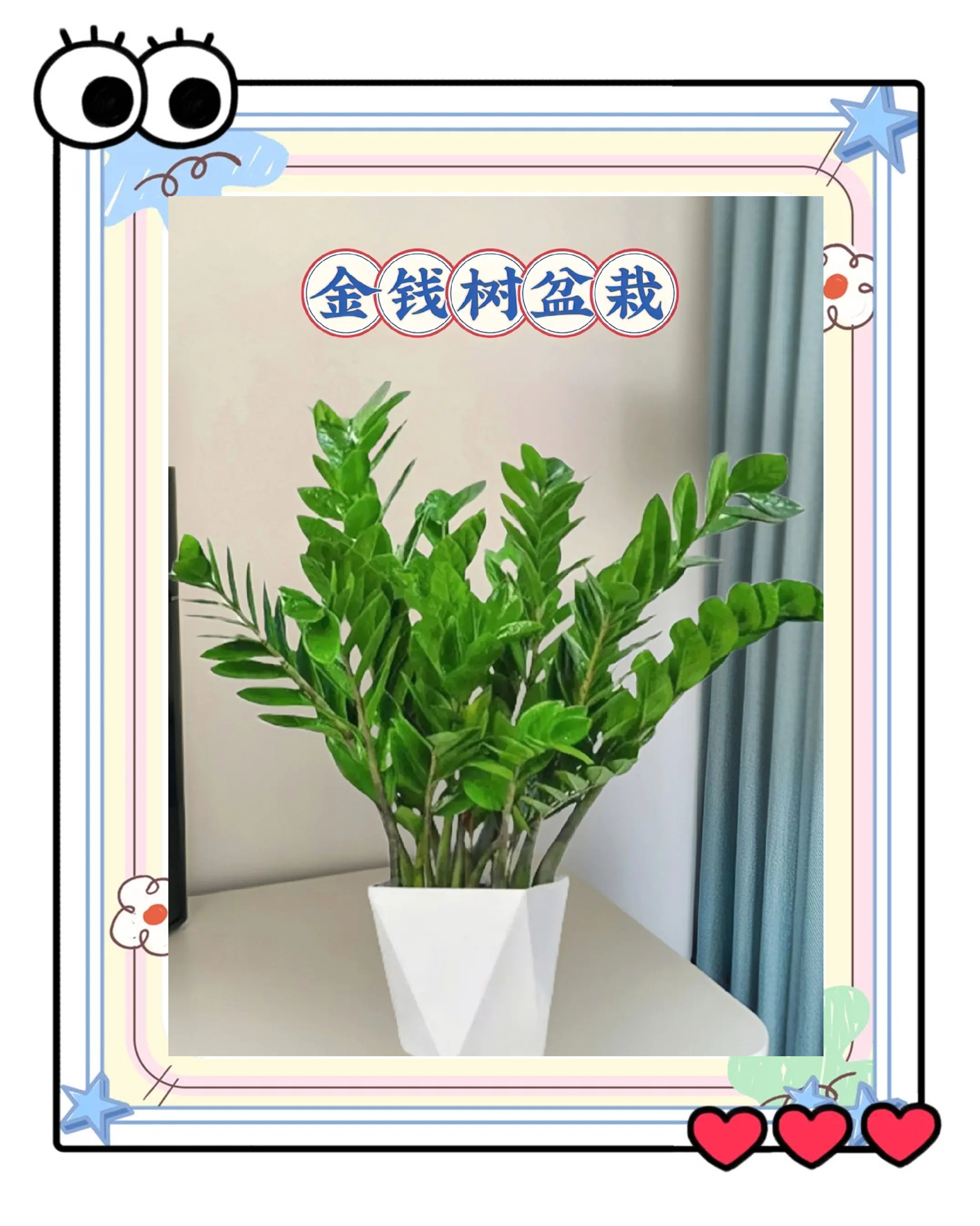 阳光摇钱树安卓版阳光摇钱树能提现吗-第2张图片-太平洋在线下载